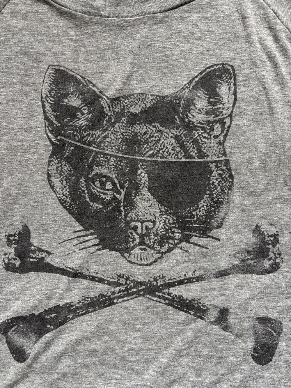 😸🏴☠️American Apparel Pirate Cat cross bones sweatshirt thinner material MED GUC - Picture 5 of 11